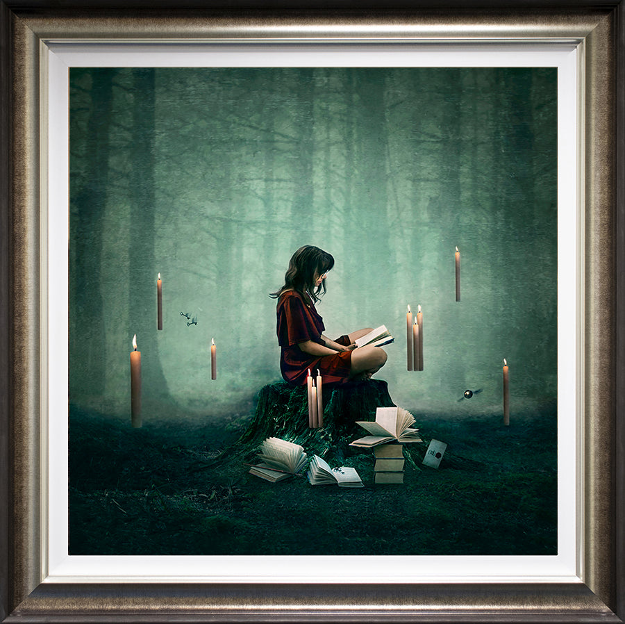 Michelle Mackie - 'Forbidden Forest - Harry Potter' - Framed Limited Edition Art