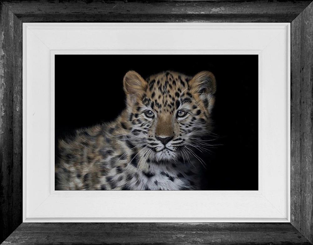 Clare Parkes - 'Amur Leopard Cub' - Framed Original