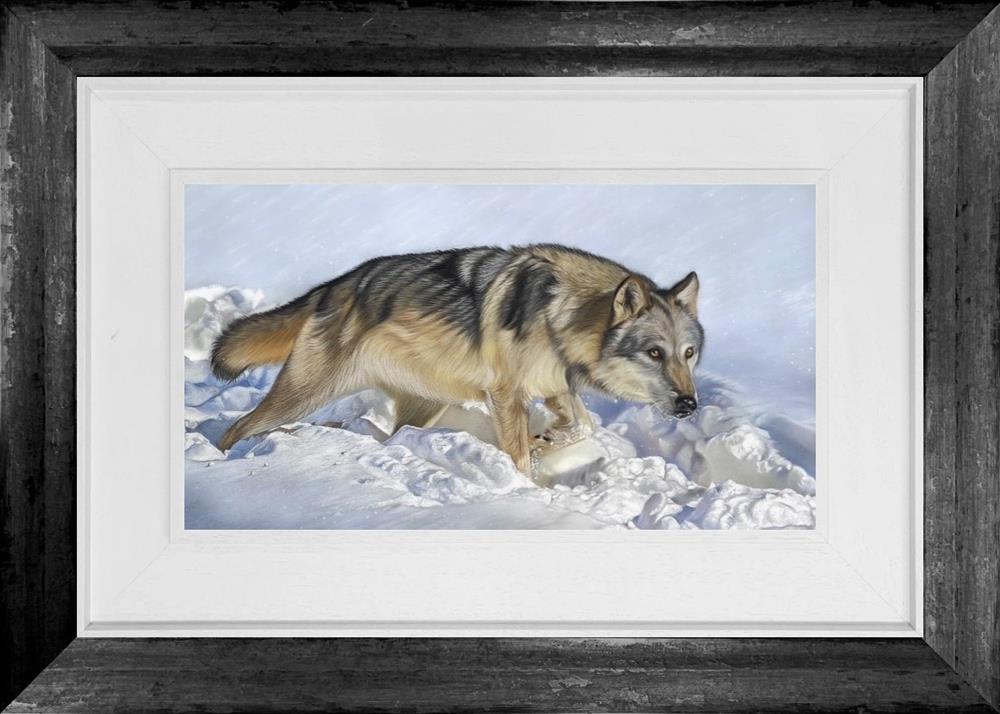 Clare Parkes - 'Artic Wolf' - Framed Original