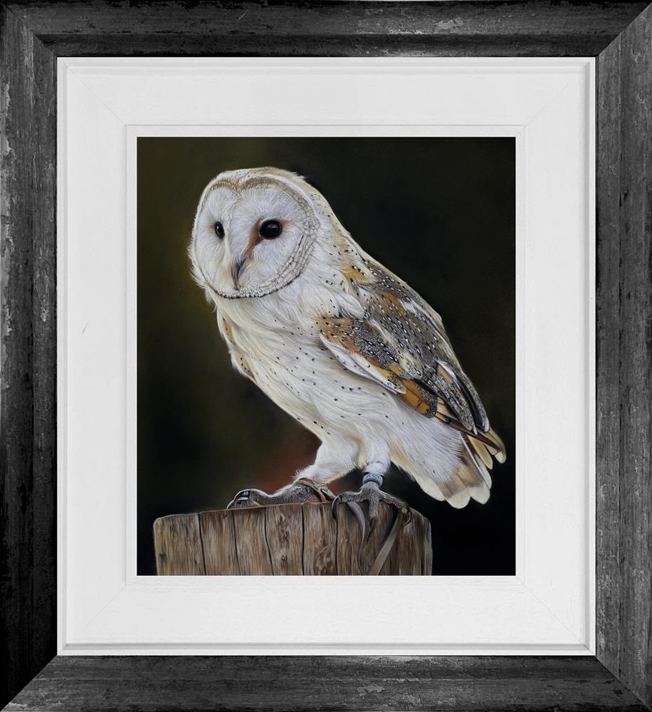 Clare Parkes - 'Barn Owl' - Framed Original