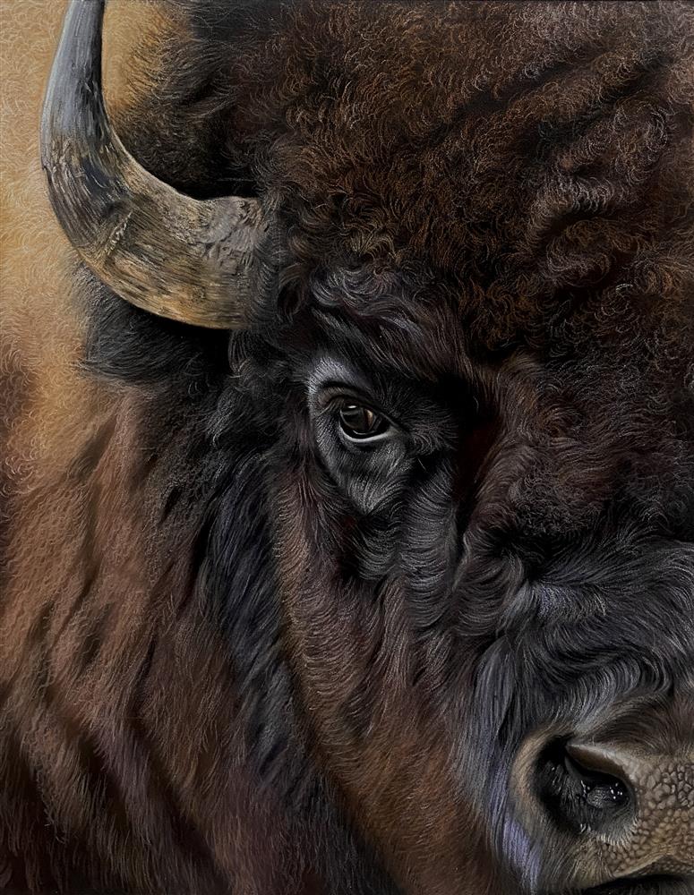 Clare Parkes - 'Bison' - Framed Original