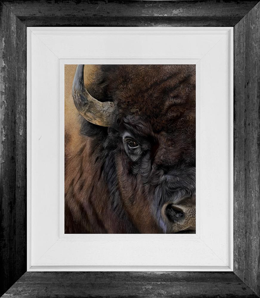 Clare Parkes - 'Bison' - Framed Original