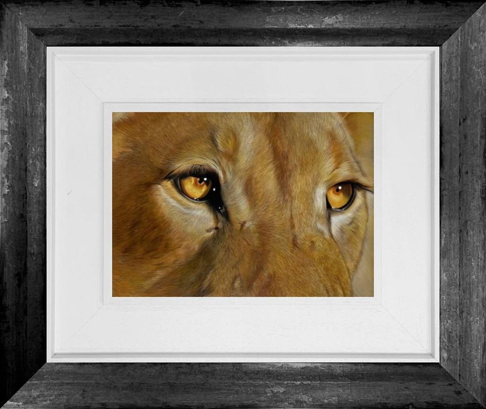 Clare Parkes - 'Golden Gaze' - Framed Original