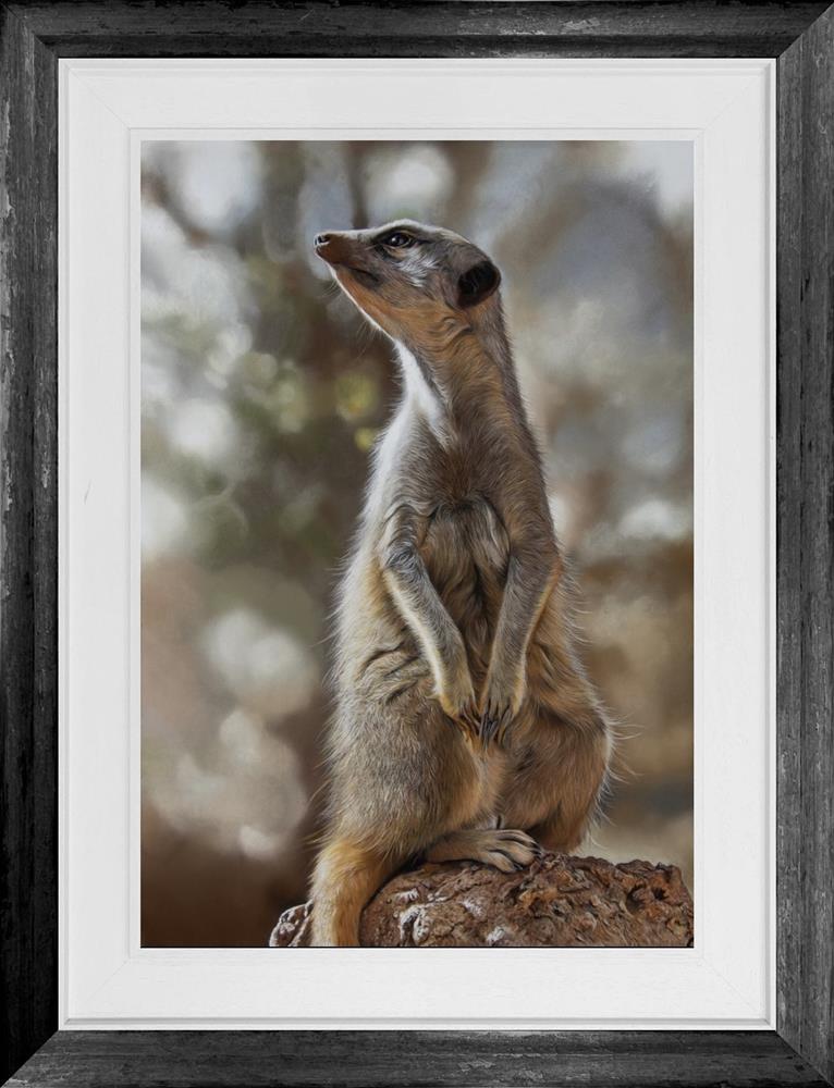 Clare Parkes - 'On The Look Out' - Framed Original