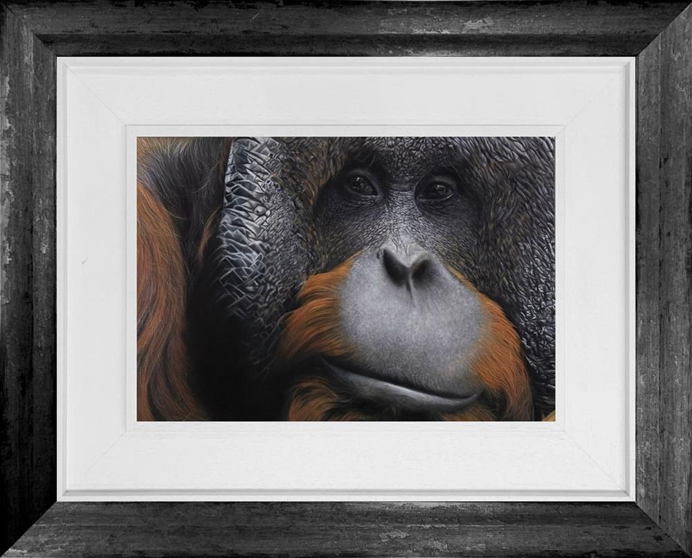 Clare Parkes - 'Orangutan' - Framed Original