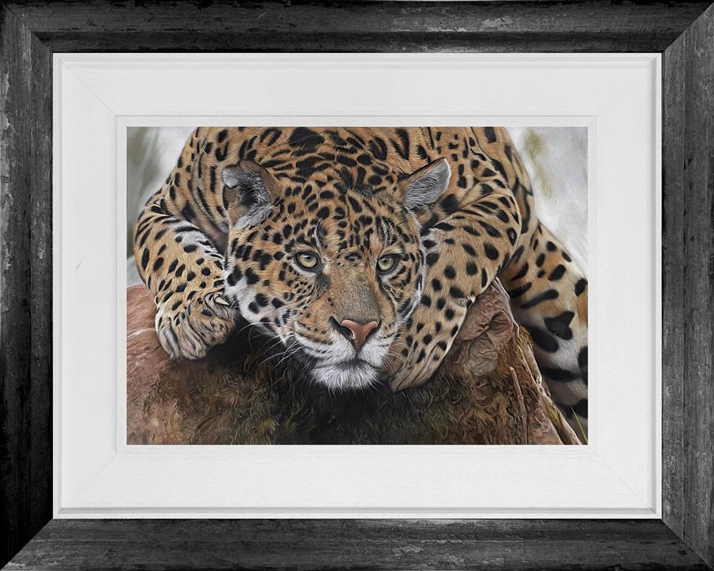 Clare Parkes - 'Predatory Gaze' - Framed Original