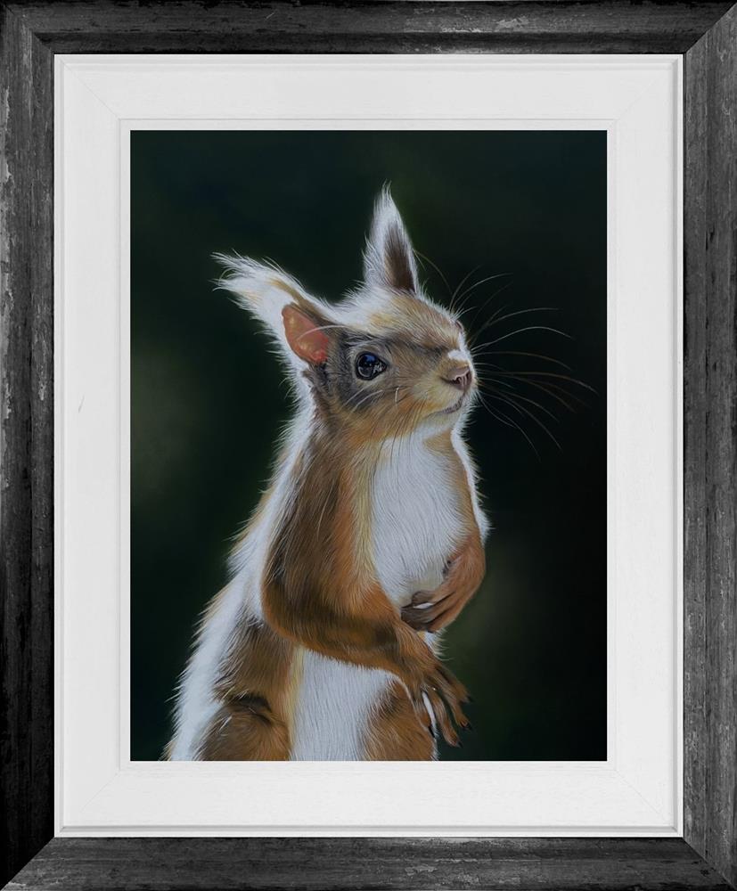 Clare Parkes - 'Red Squirrel' - Framed Original