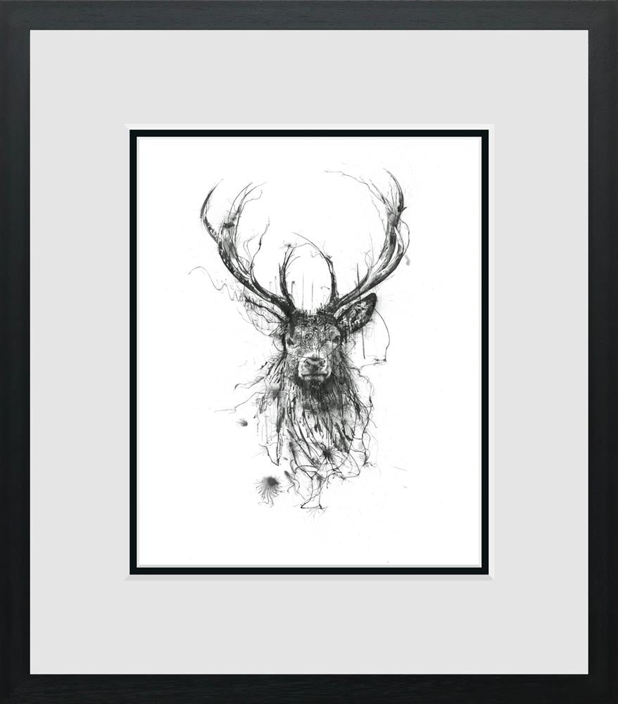 Scott Tetlow - 'Rogue' - Framed Limited Edition Print