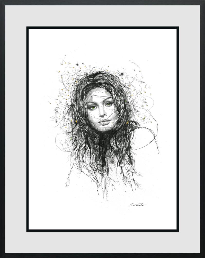 Scott Tetlow - 'Sophia Loren' - Framed Limited Edition Print