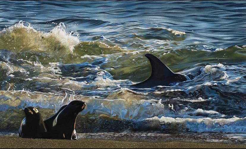 Clare Parkes - 'Sunlit Orca' - Framed Original