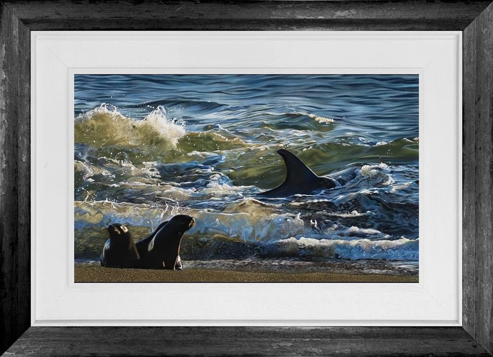 Clare Parkes - 'Sunlit Orca' - Framed Original