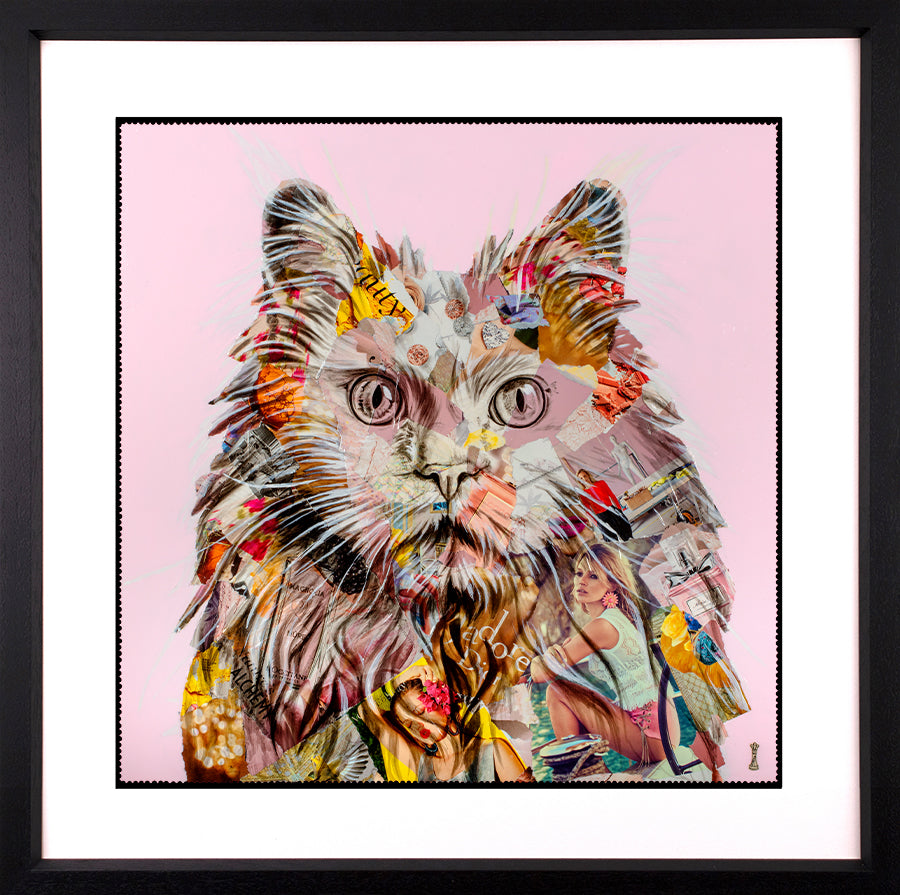 Chess - 'Pampurred' - Framed Limited Edition Print