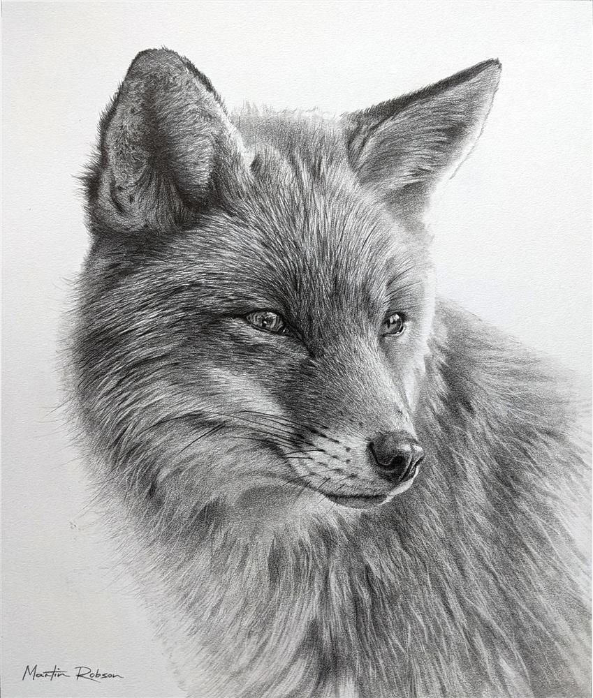 Martin Robson - 'Curious Fox - Study' - Framed Original Art