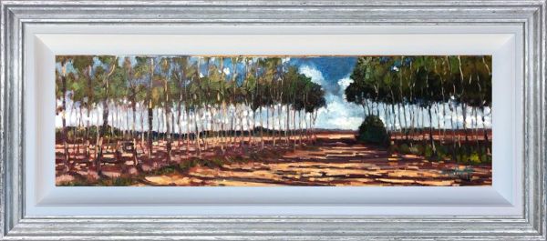 Timmy Mallett - 'Avenue of Trees' - Framed Original Art